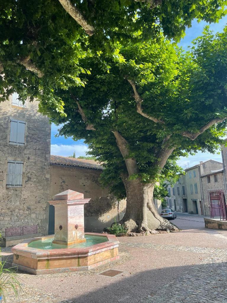 Au Perchoir Apartment Caunes-Minervois ภายนอก รูปภาพ